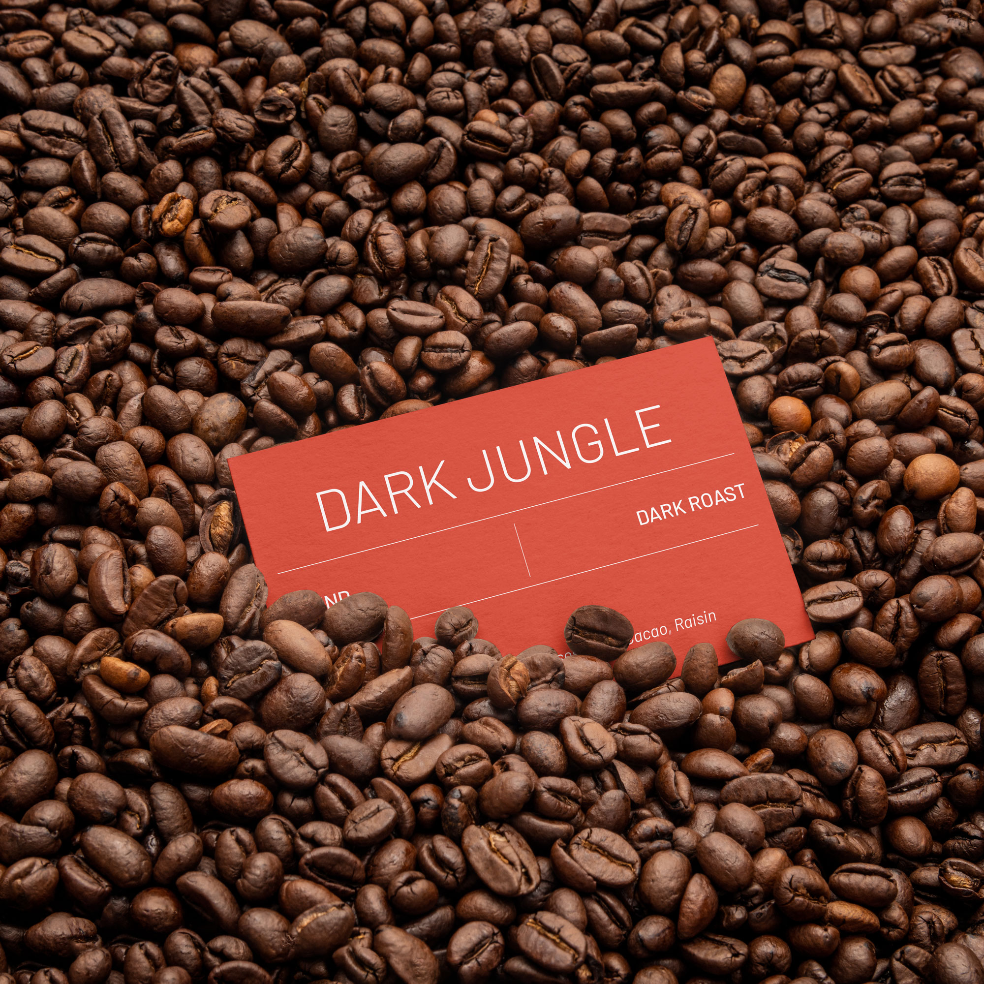 Dark Jungle Toucan Black Coffee